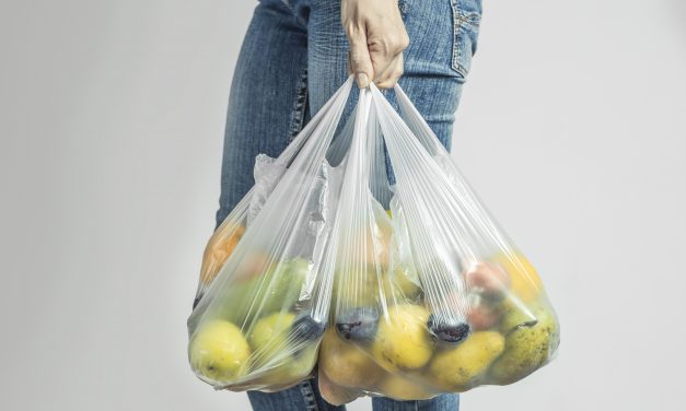 Tudo que você precisa saber: nova lei sobre o uso de sacolas plásticas