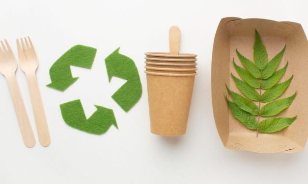 Embalagem biodegradável: a alternativa ecológica para reduzir o impacto ambiental